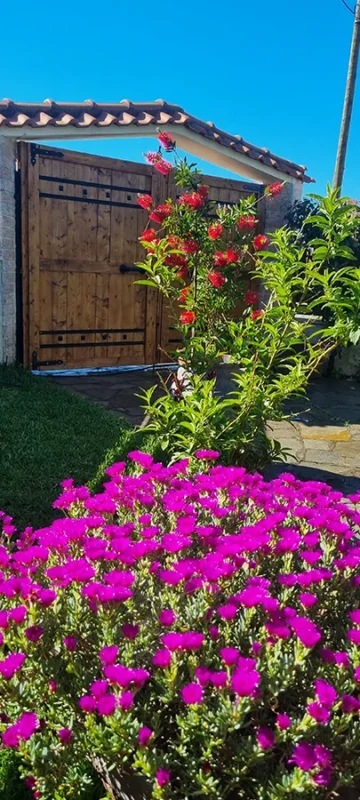 outside5