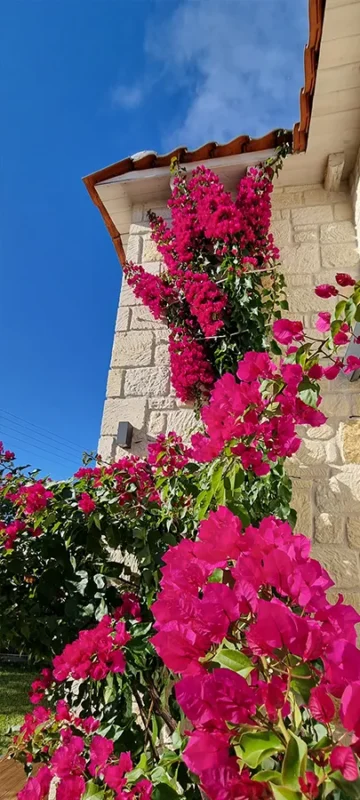 outside6
